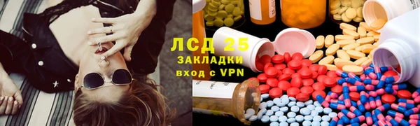 ГАЛЛЮЦИНОГЕННЫЕ ГРИБЫ Алексеевка