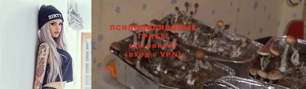 бошки Алзамай