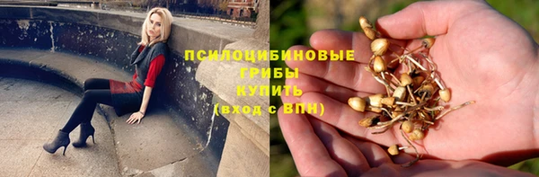 ГАЛЛЮЦИНОГЕННЫЕ ГРИБЫ Алексеевка