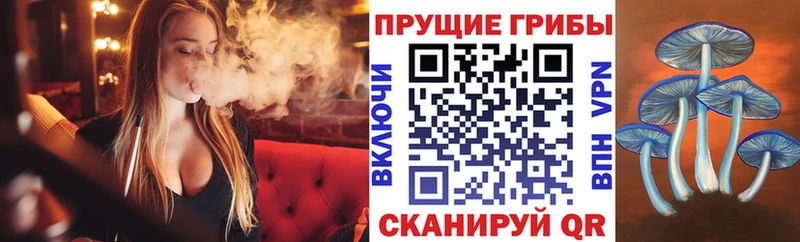Галлюциногенные грибы Magic Shrooms  цена наркотик  shop наркотические препараты  Уварово 