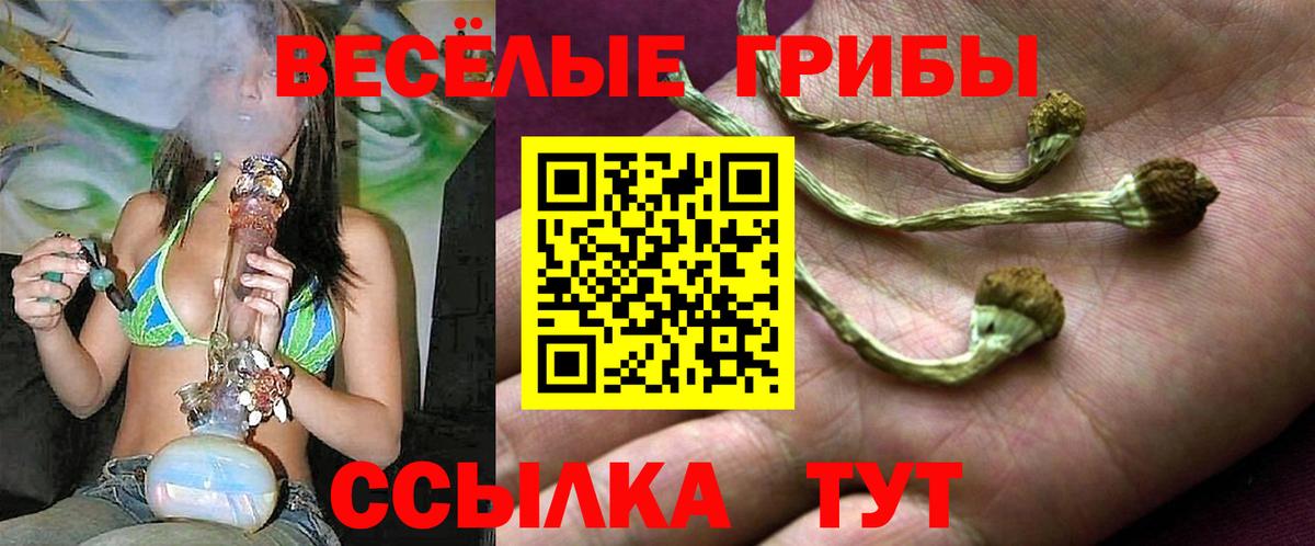 Галлюциногенные грибы Psilocybine cubensis Уварово