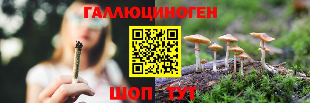 Псилоцибиновые грибы GOLDEN TEACHER  Вход с VPN  Уварово  наркошоп  Псилоцибиновые грибы мицелий 